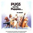 Pugs and the Puppies...In Concert