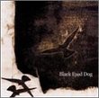 Black Eyed Dog