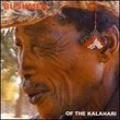 Bushmen of the Kalahari