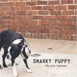 Only Constant by Snarky Puppy