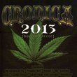 Vol. 1-Cronica 2013
