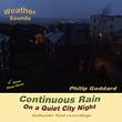 Continuous Rain On a Quiet City Night