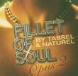 Fillet of Soul: Opus 2