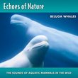 Echoes Of Nature: Beluga Whales