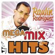 Mega Mix Hits