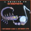 Covered Like a Hurricane: Tribute Scorpions