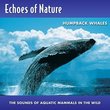 Echoes Of Nature: Humpback Whales