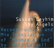 Shy Angels: Reconstruction & Mix Translation of