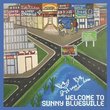Welcome to Sunny Bluesville