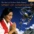 Spirit Of Compassion