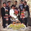 Aguililla Band