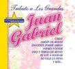 Tributo A Los Grandes: Juan Gabriel