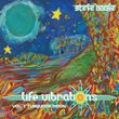 Life Vibrations Vol. 1: Turquoise Moon