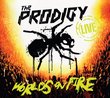 Live Worlds on Fire