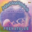 Yoyicanciones Prenatales - Esperando Tu Llegada