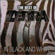 In Black & White: Zebra Collection