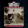 Blues Masters Vol. 8: Mississippi Delta Blues