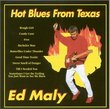 Hot Blues From Texas