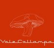 Vale Callampa (Dig)