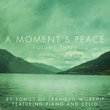Moment's Peace 3
