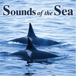 Sounds of the Sea