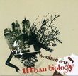 Urban Biology