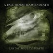 Lay My Soul To Waste by A Pale Horse Named Death