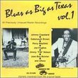 Blues As Big As Texas 1