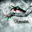 Don't Be Scared By Chrysalide (0001-01-01)