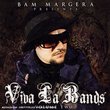 Bam Margera Presents: Viva La Bands, Vol. 2