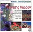 Nature's Relaxation Suites: Flowering Meadow