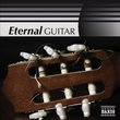 Eternal Guitar