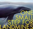 One Small Step For Landmines