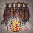 B-Tribe 5