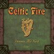 Celtic Fire, Dennis McNeil Live!