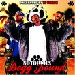 Notorious Dogg Pound