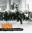 Introducing the Akoya Afrobeat Ensemble