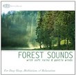 Forest Sounds: with Soft Rains & Gentle Winds (Nature Sounds, Deep Sleep Music, Meditation, Relaxation Sounds of Nature)