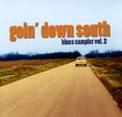 Goin' Down South Blues Sampler Vol. 2