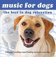 Music for Dogs - Calming soothing sound healing music that dogs love