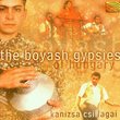 Boyash Gypsies of Hungary