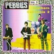 Pebbles, Vol. 9: Southern California 2