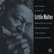 The Blues World of Little Walter