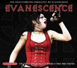 Maximum Evanescense: The Unauthorised Biography of Evanescence