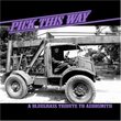 Pick This Way: Bluegrass Tribute to Aerosmith
