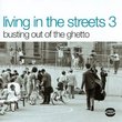 Living in the Streets 3: Busting Out of the Ghetto