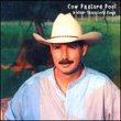 Cow Pasture Pool & Other Texas Love Songs
