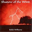 Shadow of the Wind