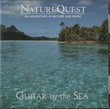NatureQuest: Guitar By the Sea