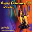 Gypsy Flamenco Rumba: La Vida